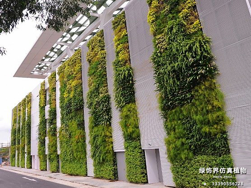沈陽活體植物墻,沈陽植物墻制作,沈陽仿真植物墻-沈陽綠飾界景觀工程有限公司